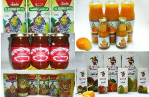 منتجات شركات مصرية