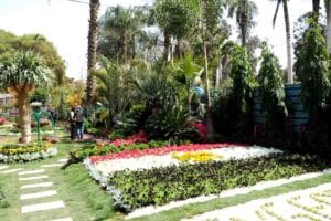 حديقة الاورمان