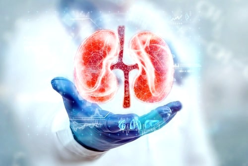 أملاح الكلى