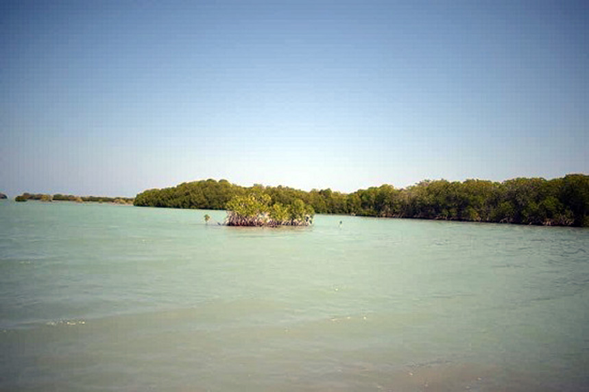 السياحة العلاجية في مصر