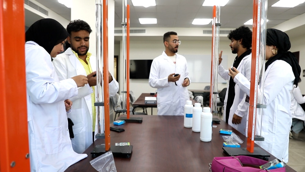 جامعة المدينة