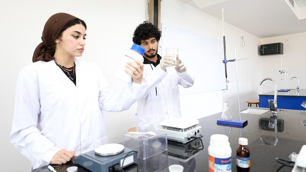 جامعة المدينة