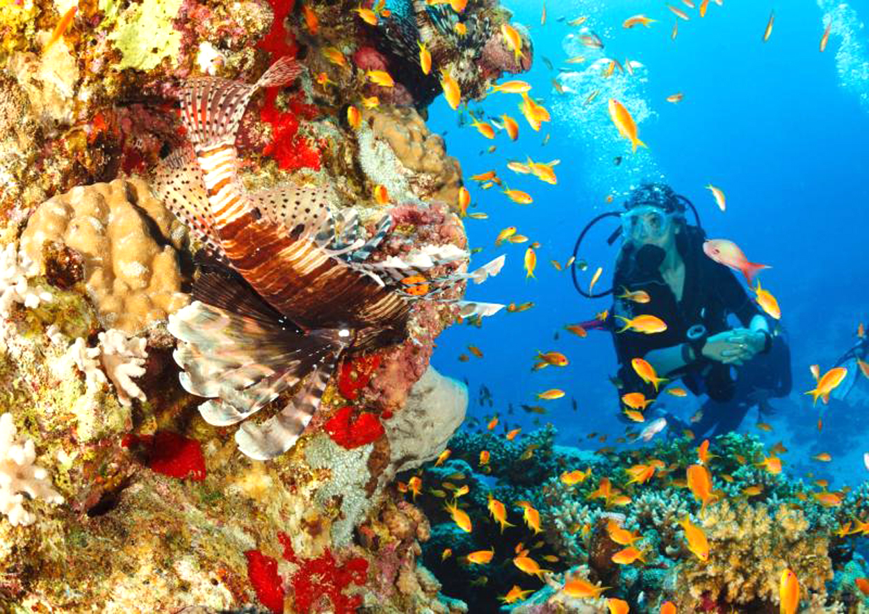 معالم سياحية في السعودية